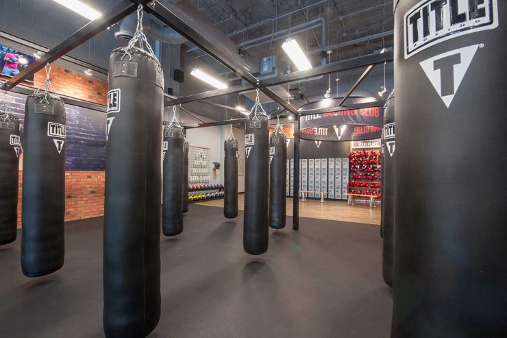 Title Boxing Punching Bags
